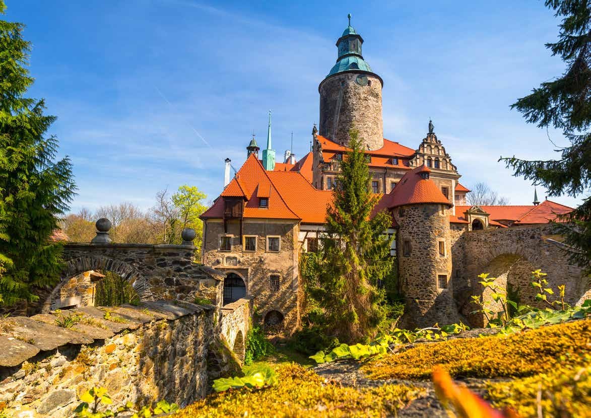 A historic castle surrounded by trees and gardens