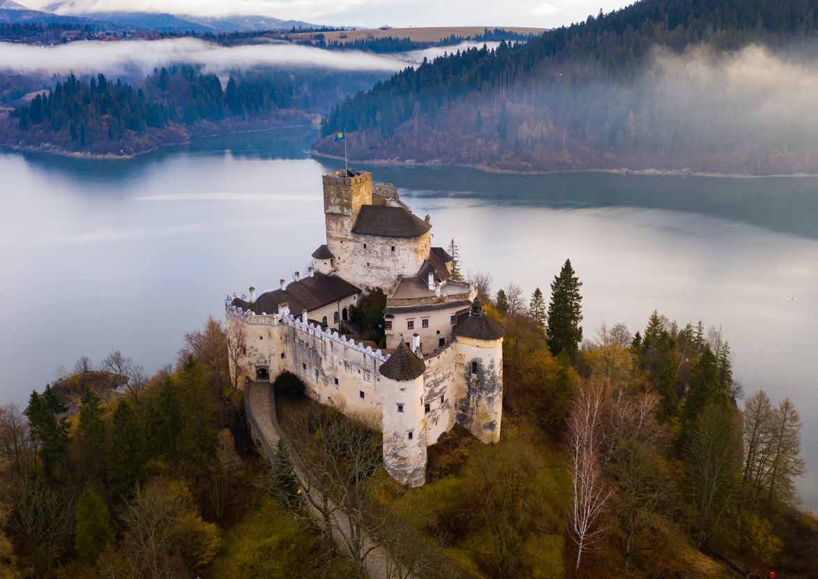 A historic castle reflected in a mountain lake